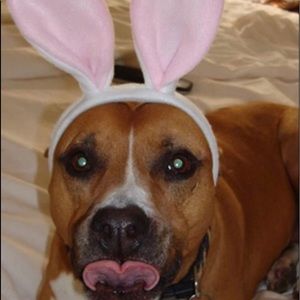 Meet your Posher, Betty